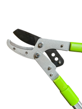 Extendable Anvil Loppers Tree Trimmers