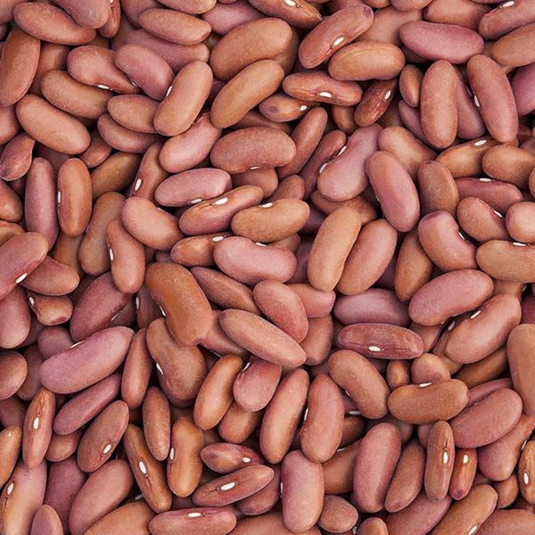 Light Red Kidney Dry Bean