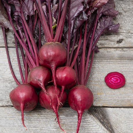 Bull's Blood Beet