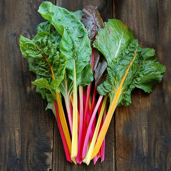 Improved Rainbow Blend Chard