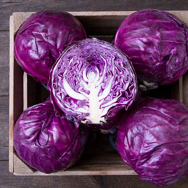 Amarant Cabbage