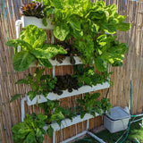 Wally 32 – Fixed Wall Hydroponic Gardening System