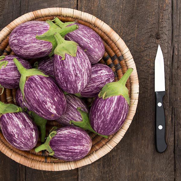 Piccolo F1 Eggplant