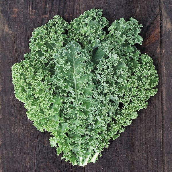 Meadowlark Kale