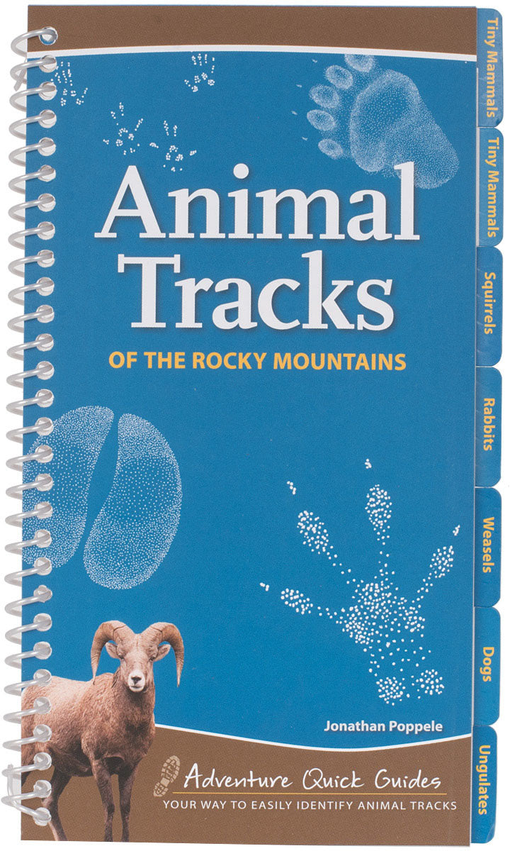 Animal Tracks Rocky Mountains