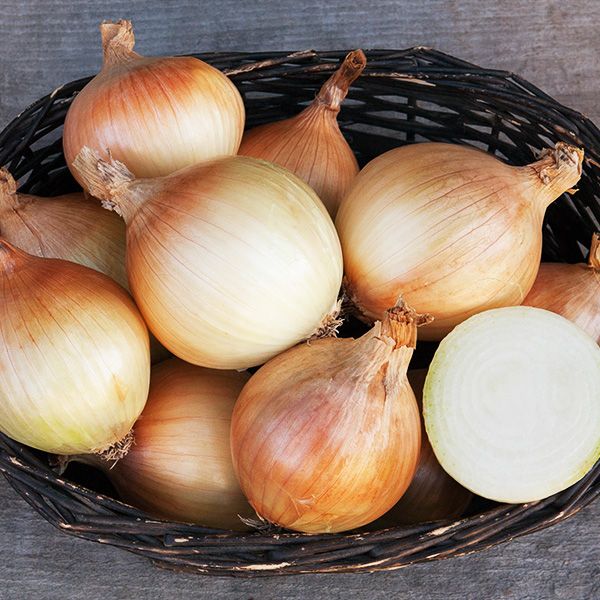 Ailsa Craig Onion