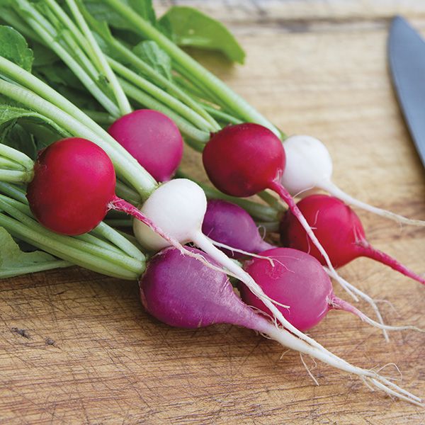 Valentine's Day Radish