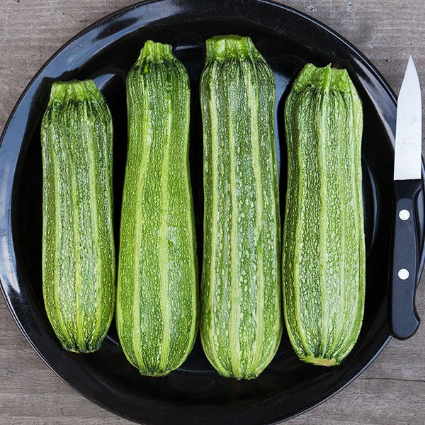 Costata Romanesco Zucchini