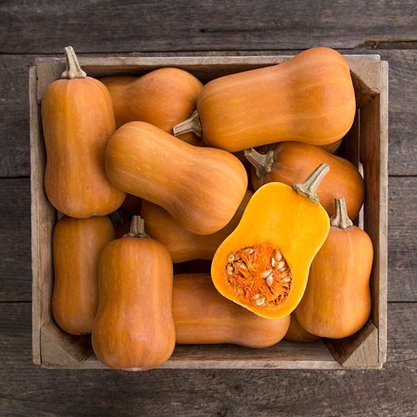 Honeynut Butternut Squash