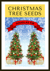 Grow Your Own CHRISTMAS TREE - Douglas Fir ( Pseudotsuga Menziesii ) Gift Packet of Tree Seeds