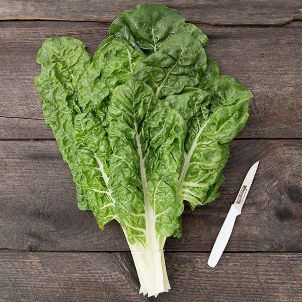 Fordhook Giant Chard