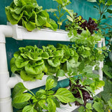 Wally 32 – Fixed Wall Hydroponic Gardening System