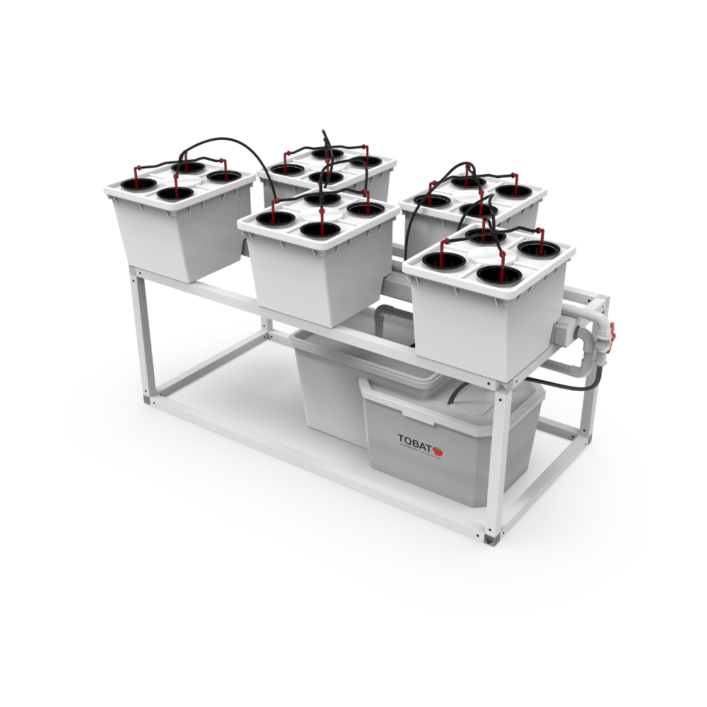 Tobato 5 – Dutch Bucket Hydroponic Growing System