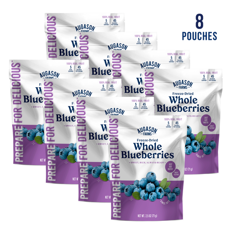 Freeze Dried Whole Blueberries Pouch, 5 Servings