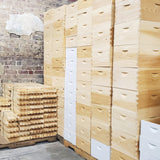 5-Frame Complete, Medium 6 5/8-inch Box with Frames and Foundation