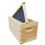 5-Frame Complete, Deep 9 5/8-inch Box with Frames and Foundation