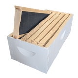 5-Frame Complete, Medium 6 5/8-inch Box with Frames and Foundation