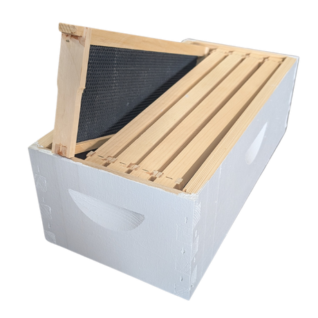 5-Frame Complete, Medium 6 5/8-inch Box with Frames and Foundation