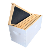 5-Frame Complete, Deep 9 5/8-inch Box with Frames and Foundation