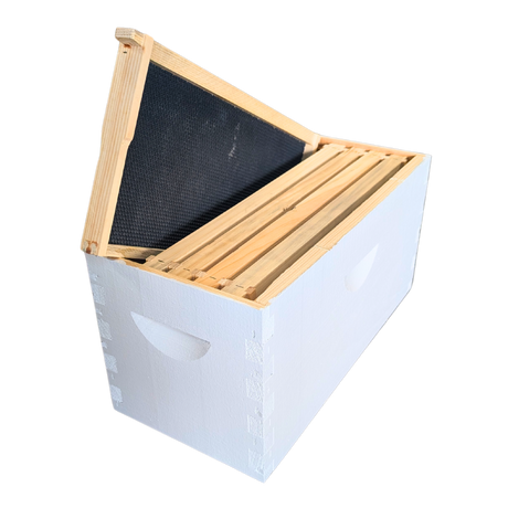 5-Frame Complete, Deep 9 5/8-inch Box with Frames and Foundation