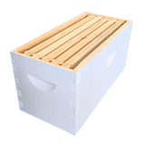5-Frame Complete, Deep 9 5/8-inch Box with Frames and Foundation