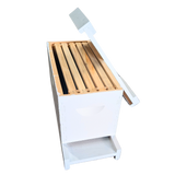 5-Frame Complete, Deep 9 5/8-inch Box with Frames and Foundation