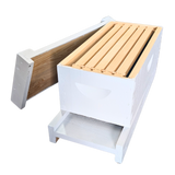 5-Frame Nucleus Hive Kit - Medium