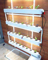 Wally 32 – Fixed Wall Hydroponic Gardening System