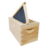 5-Frame Complete, Deep 9 5/8-inch Box with Frames and Foundation