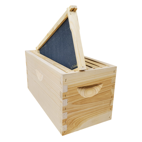 5-Frame Complete, Deep 9 5/8-inch Box with Frames and Foundation