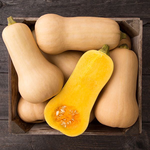 Waltham Butternut Squash