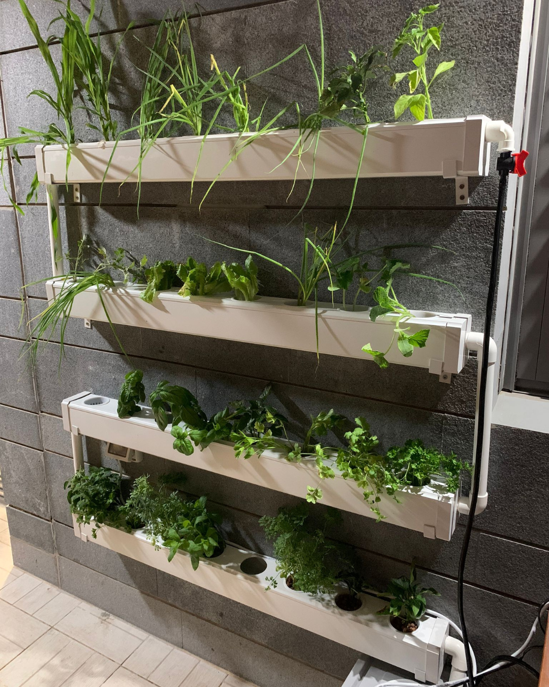 Wally 32 – Fixed Wall Hydroponic Gardening System