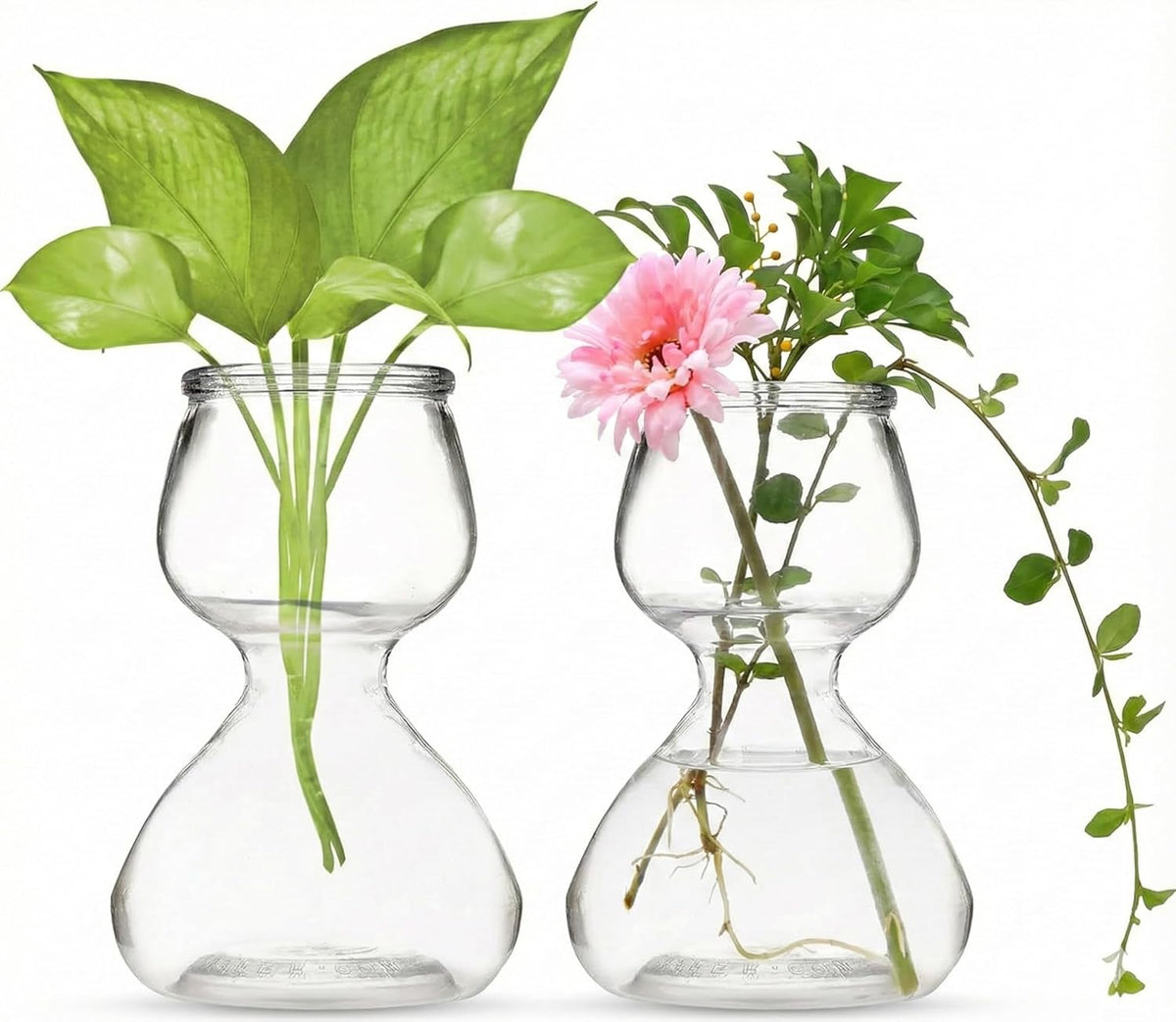Plant Propagation Stations - Clear Glass Bud Vases (Set of 2)
