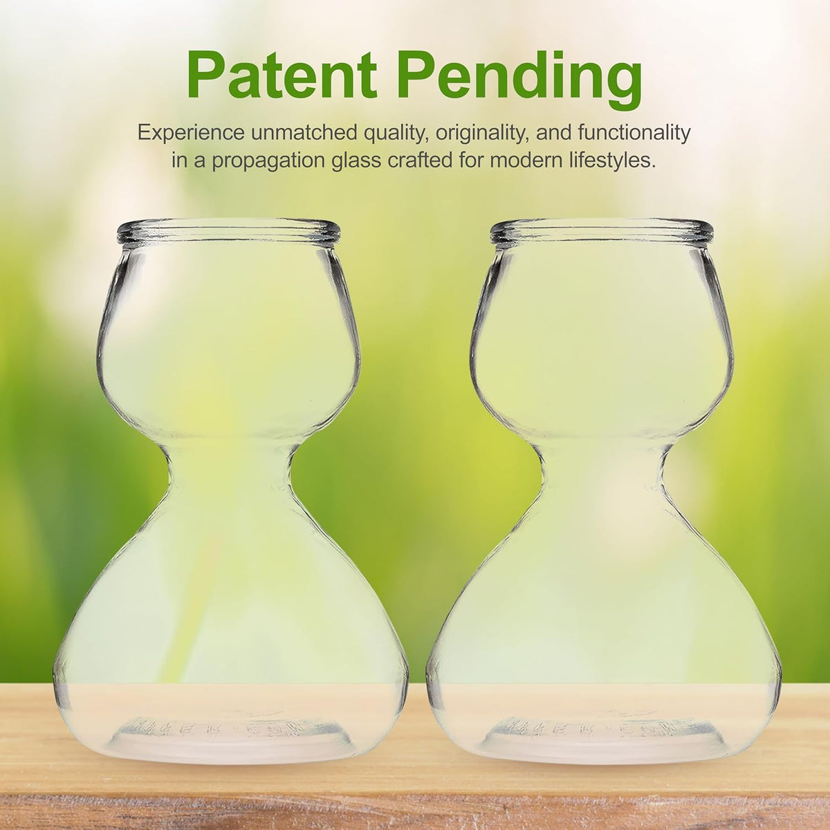 Clear Glass Bud Vases - Propagation Stations (Set of 4)