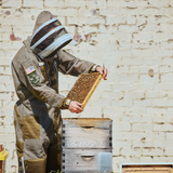 Sting Stopper Professional Ventilated Beekeeping Suit - Olive Green