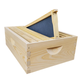 8-Frame Complete, Medium 6 5/8-inch Box with Frames and Foundation