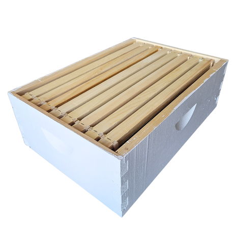 8-Frame Complete, Medium 6 5/8-inch Box with Frames and Foundation
