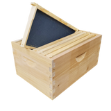 8-Frame Completed, Deep 9 5/8-inch Box with Frames and Foundation