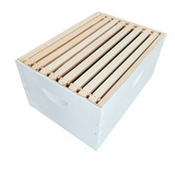 8-Frame Completed, Deep 9 5/8-inch Box with Frames and Foundation