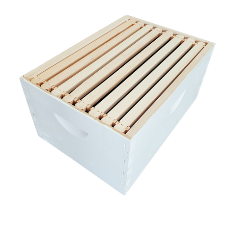 8-Frame Completed, Deep 9 5/8-inch Box with Frames and Foundation