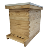 8-Frame Deep and Medium Box Hive Kit
