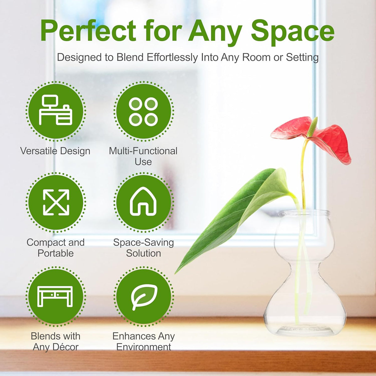 Clear Glass Bud Vases - Propagation Stations (Set of 8)