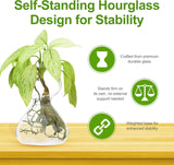 Plant Propagation Stations - Clear Glass Bud Vases (Set of 2)
