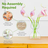 Plant Propagation Stations - Clear Glass Bud Vases (Set of 2)