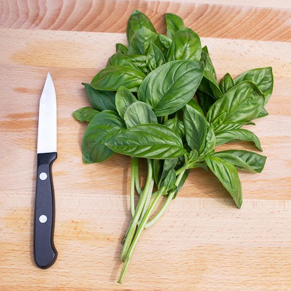 Genovese Basil