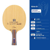 Entry-Level Table Tennis Paddle