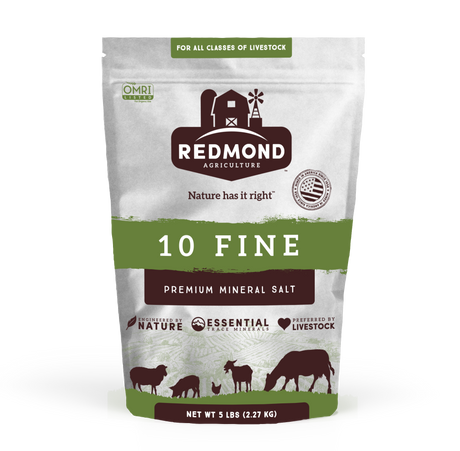 10 Fine - Premium Mineral Salt