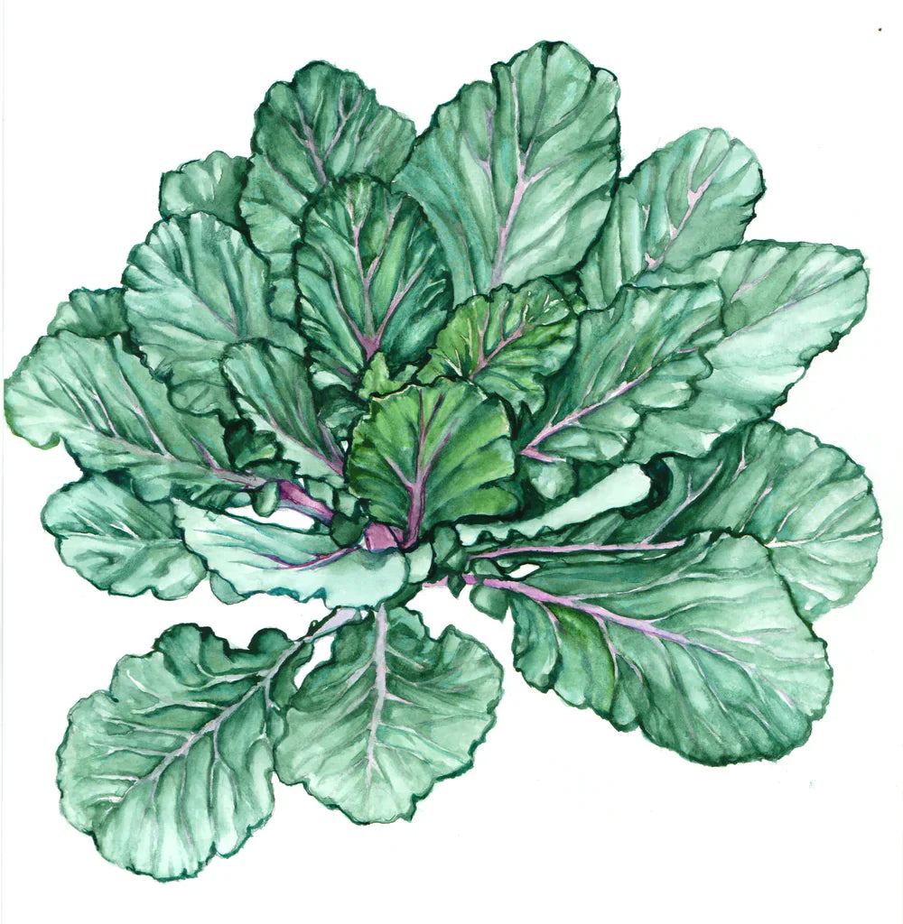 Alabama Blue Collards