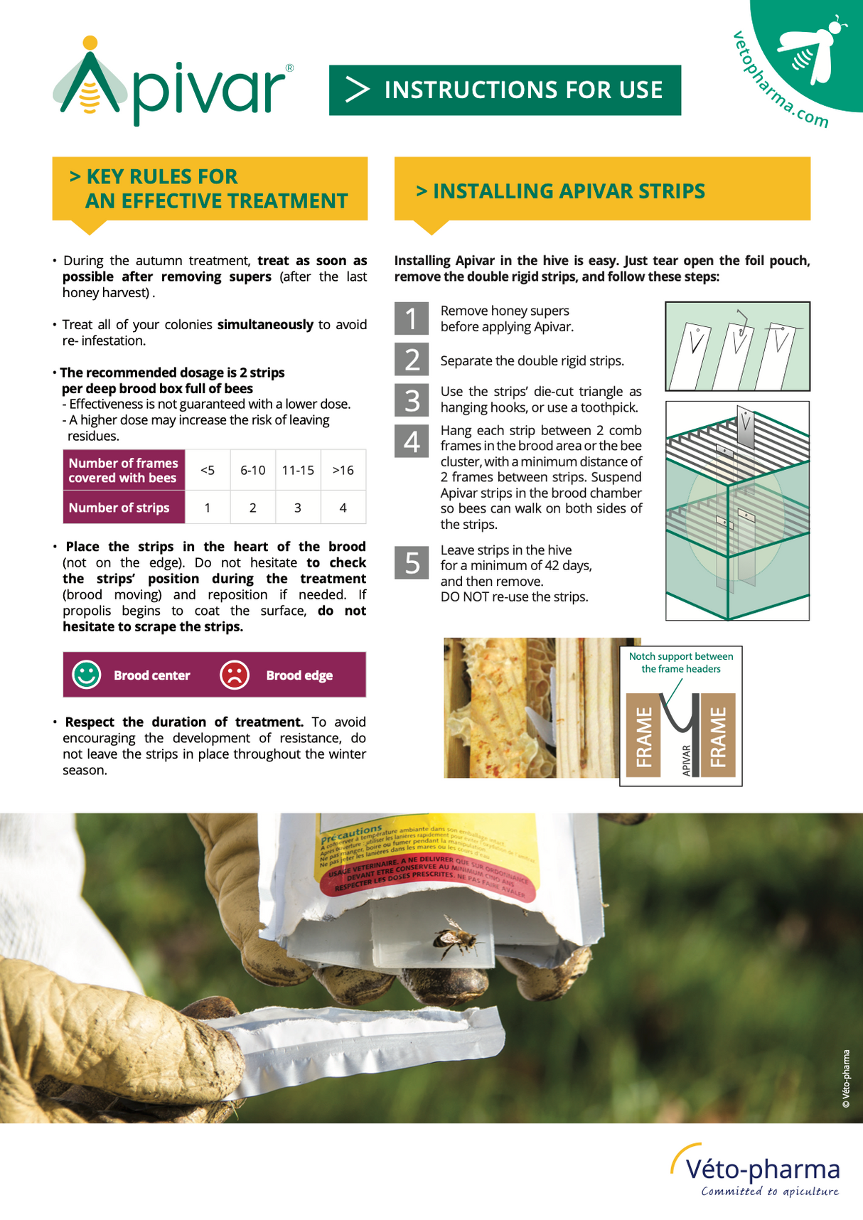 Apivar Original + Apivar 2.0 Varroa Mite Strips