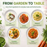 Garden Guru Herb Seed Set - Non-GMO